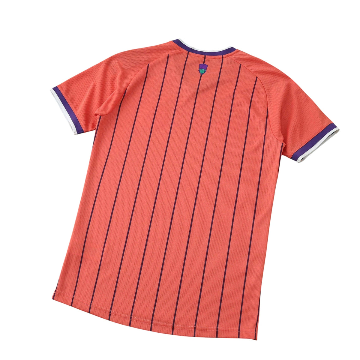 Scotland 2026 Away Jersey