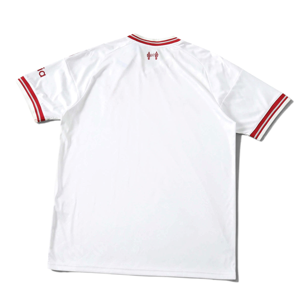 Liverpool F.C. 2026/27 Away Jersey